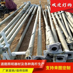 監(jiān)控桿 監(jiān)控桿價格 監(jiān)控桿批發(fā) 監(jiān)控桿廠家