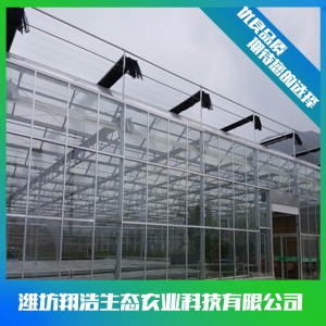 文洛式玻璃溫室建造商 連棟玻璃溫室大棚建設(shè) 玻璃溫室安裝設(shè)計(jì)