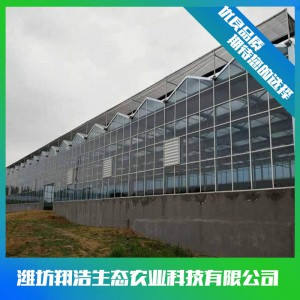 文洛式玻璃溫室建造商 連棟玻璃溫室大棚建設(shè) 玻璃溫室安裝設(shè)計(jì)