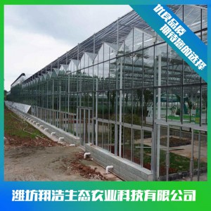 文洛式玻璃溫室建造商 連棟玻璃溫室大棚建設(shè) 玻璃溫室安裝設(shè)計(jì)