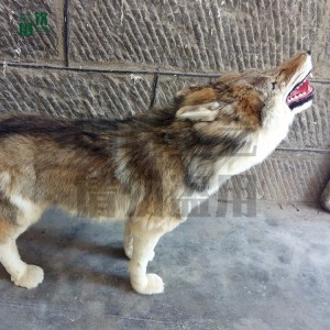 廠家直銷仿真狼 動物擺件 模型道具標本 純手工精細雕塑制作