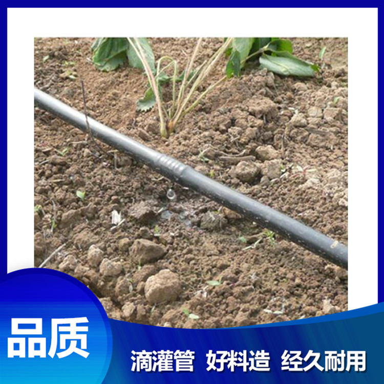 果園大棚滴灌管 壓力補償式滴灌管 廠家銷售