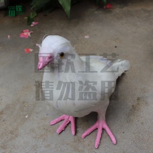 加工定制各種仿真鳥類 仿真鴿子模型標本