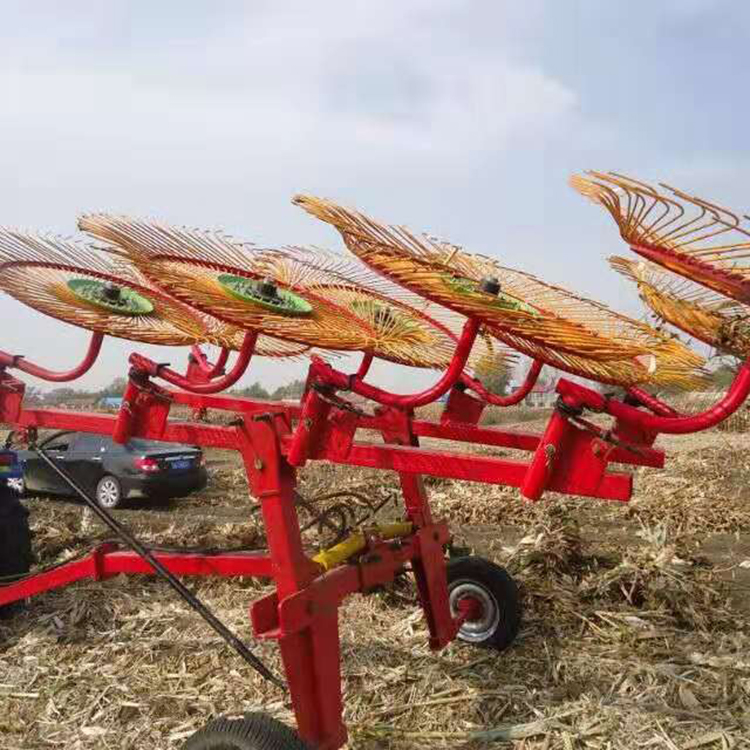 TF3.0型指盤式摟草機(jī) 農(nóng)畜牧草摟草機(jī)供應(yīng) 廠家生產(chǎn)