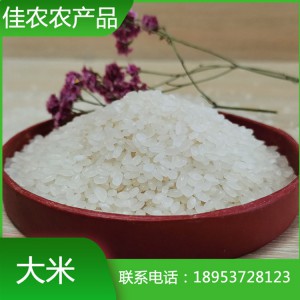 魚米之鄉(xiāng)優(yōu)質(zhì)大米 魚臺大米 量大從優(yōu)
