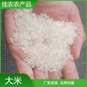 魚米之鄉(xiāng)優(yōu)質(zhì)大米 魚臺大米 量大從優(yōu)
