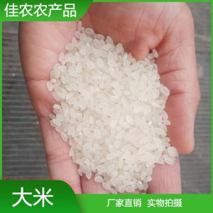 魚米之鄉(xiāng)優(yōu)質(zhì)大米 魚臺大米 量大從優(yōu)